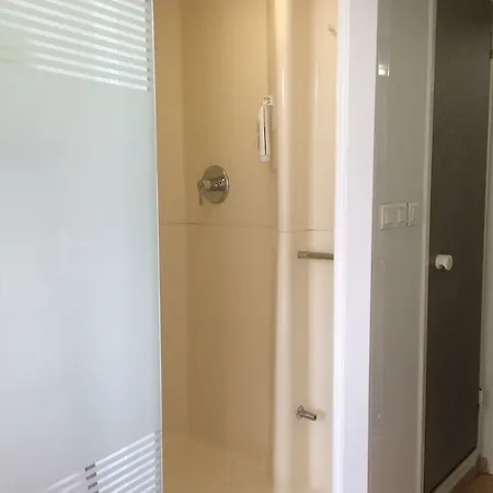 Ibis 3*